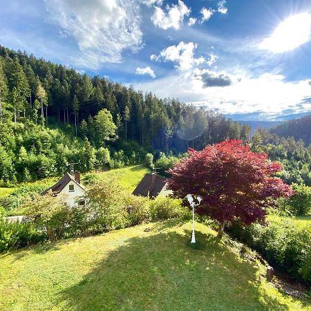 Ferienwohnung Zur Bierliebe - Mit Toller Aussicht Im Herzen Des Schwarzwaldes Hornberg Kültér fotó