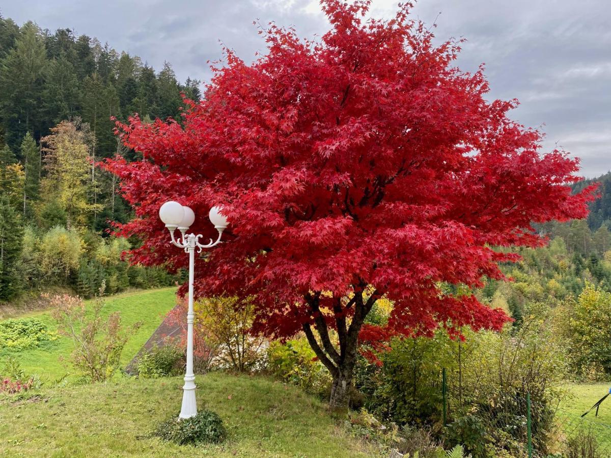 Ferienwohnung Zur Bierliebe - Mit Toller Aussicht Im Herzen Des Schwarzwaldes Hornberg Kültér fotó