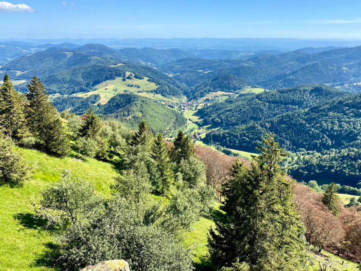Ferienwohnung Zur Bierliebe - Mit Toller Aussicht Im Herzen Des Schwarzwaldes Hornberg Kültér fotó