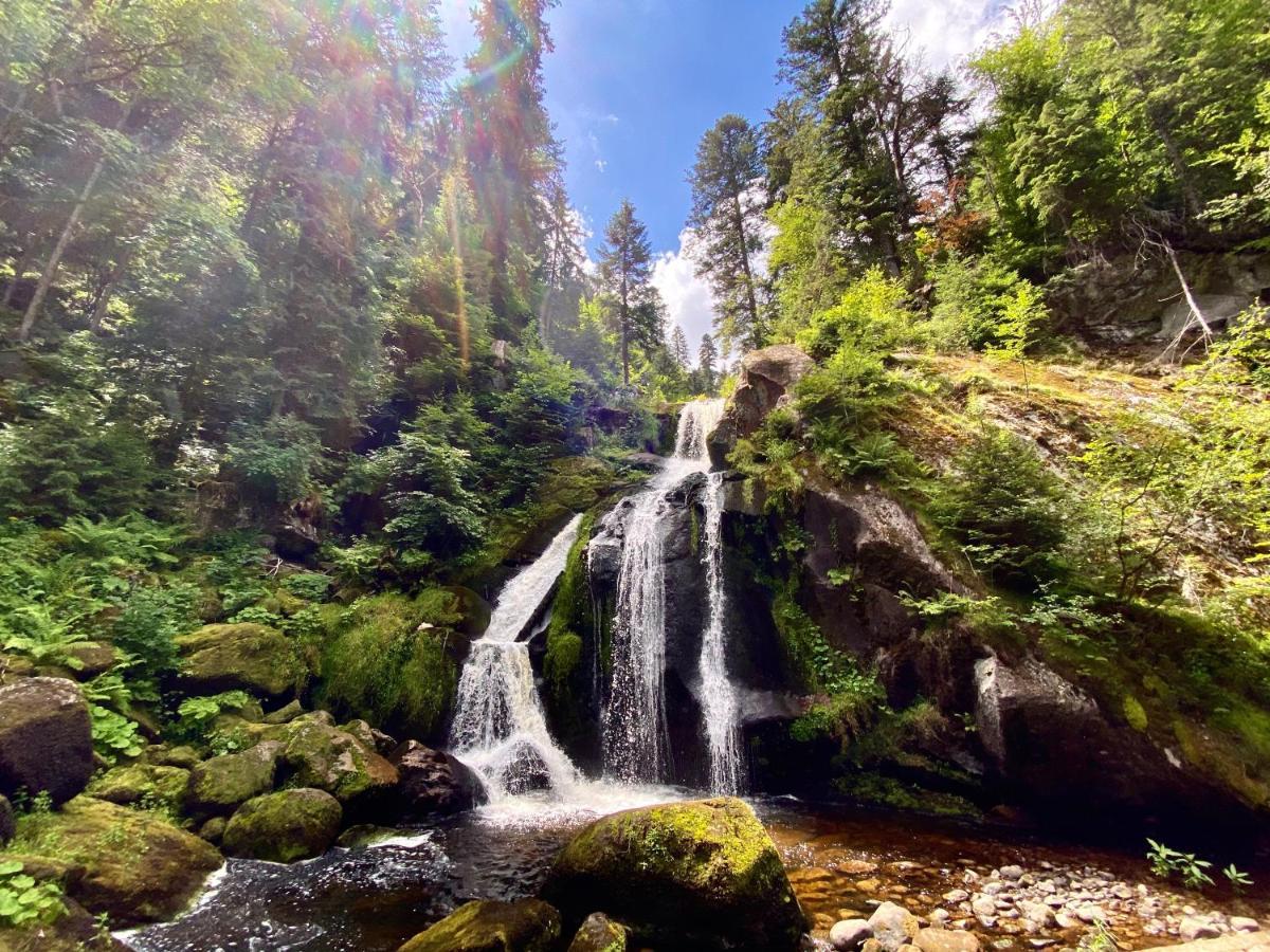 Ferienwohnung Zur Bierliebe - Mit Toller Aussicht Im Herzen Des Schwarzwaldes Hornberg Kültér fotó